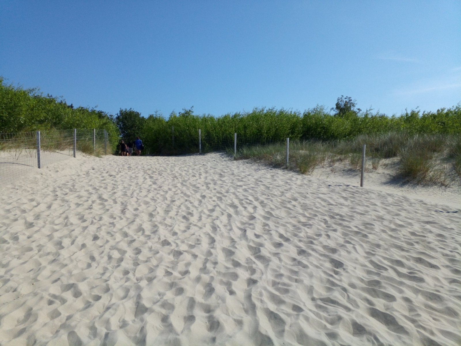 Wydmy i droga do plaży